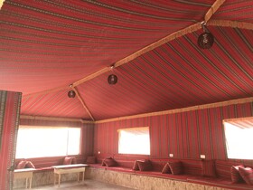 Martian Life Camp