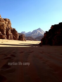 Martian Life Camp