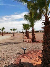 Rum Oasis Luxury Camp