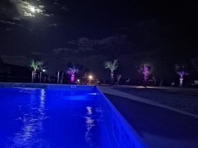 Rum Oasis Luxury Camp