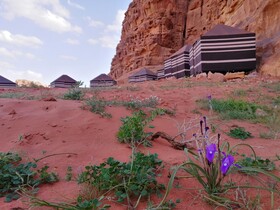 Wadirum Desert Tours camp