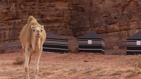 Wadirum Desert Tours camp