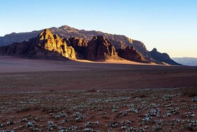 Wadi Rum Moon Camp