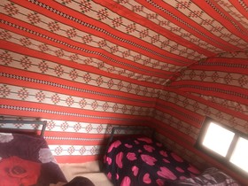 Wadi Rum Safari Camp & Trips