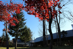 Moritsubetsu