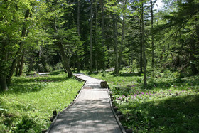 Moritsubetsu