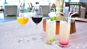 The Windsor Hotel TOYA, Vignette Collection