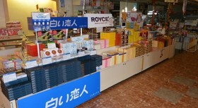 Toya Kanko Hotel