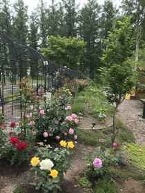 Ritz Garden Niji
