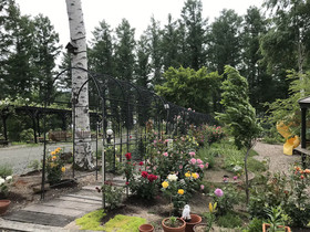Ritz Garden Niji