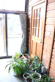 Cottage Yuyu