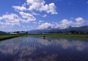 Furano Natulux Hotel
