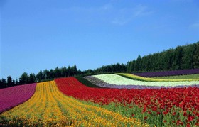 Furano Natulux Hotel