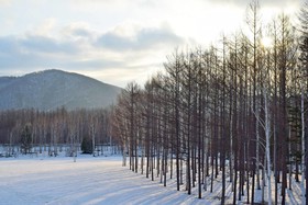 Highland Furano
