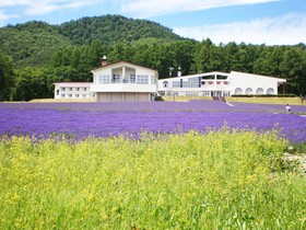 Highland Furano