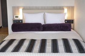 HOTEL MYSTAYS Hakodate Goryokaku