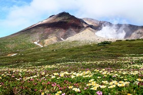 Asahidake Onsen Deer Valley