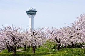 Business Hotel Hokuto