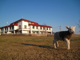 Koshimizu Hana Kotori Youth Hostel
