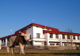 Koshimizu Hana Kotori Youth Hostel