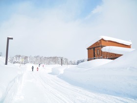 Niseko Workation Lodge C