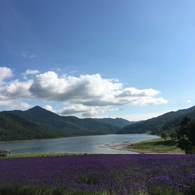 Nanputei