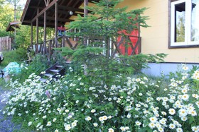 Tocotoco House