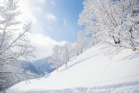 Moorea Lodge Niseko