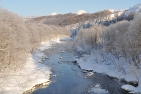 Niseko Annupuri Cottage momo