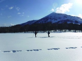 Niseko Annupuri Cottage momo