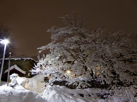 Otarunai Backpackers' Hostel Morinoki
