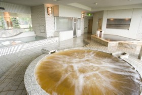 Tokachigawa Onsen Daiichi Hotel