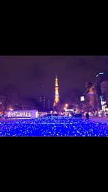 Sapporo Princess Hotel - Hostel