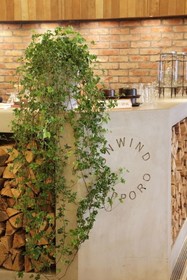 Unwind Hotel & Bar