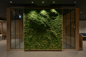 Vessel Hotel Camapana Susukino