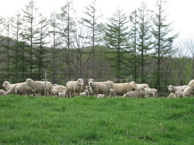 Yorkshire Farm Hotel