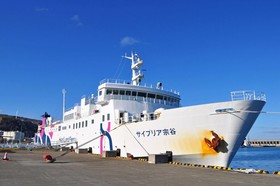 Hotel Saharin