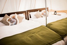 Yoichi Vineyard Glamping