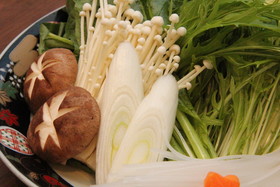 Takeda Jokamachi Shu Shu