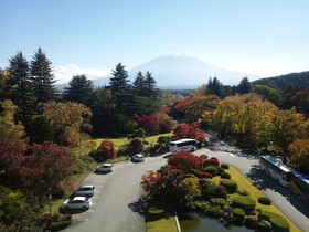 Fuji View