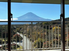 Fuji View