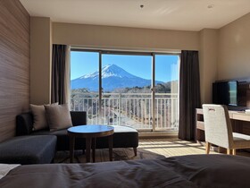 Fuji View