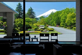 Fuji View