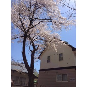 Sumi Villa Hakuba