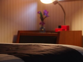 Tabist Green Business Hotel Hakui
