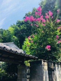 Kazenomori Kitchen Hostel