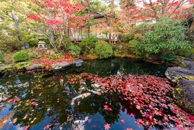 Koyasan Syukubo Ekoin