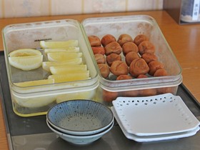 Healthpia Kurashiki Fasting Health