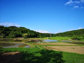 Guesthouse Himawari Hostel