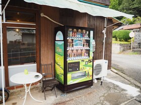 Trip Base Coconeel
